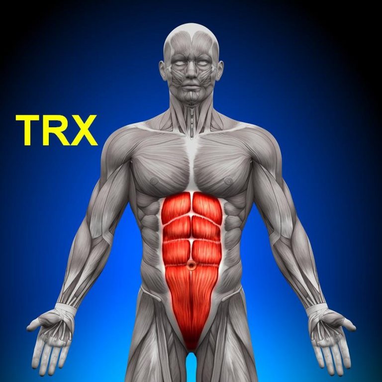TRX cviky na brušné svaly – cviky na brucho