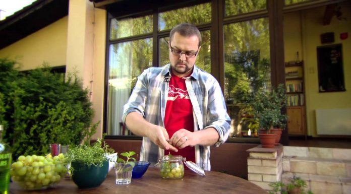 MAKO – recept na koktail MAKO