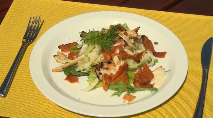 Feniklový šalát – recept na feniklový šalát s hlivou kráľovskou