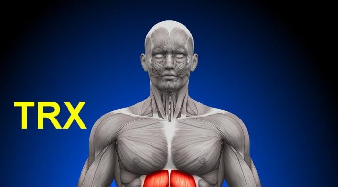 TRX cviky na brušné svaly – cviky na brucho