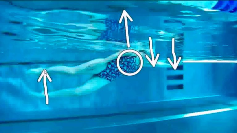 Technika plávania – KRAUL poloha tela
