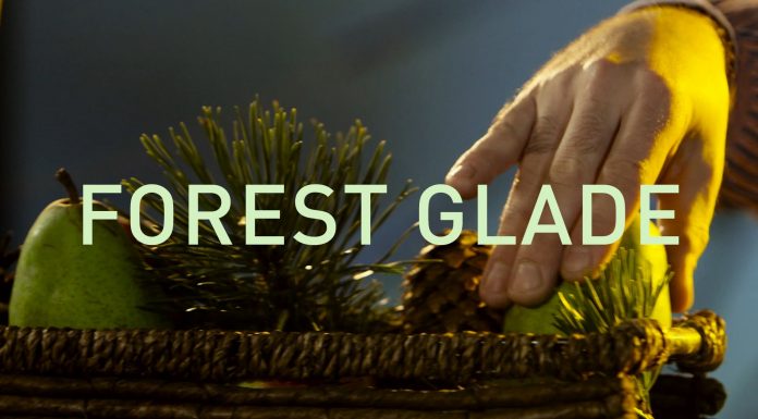 HEARTMIX: Forest glade