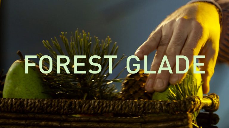 HEARTMIX: Forest glade