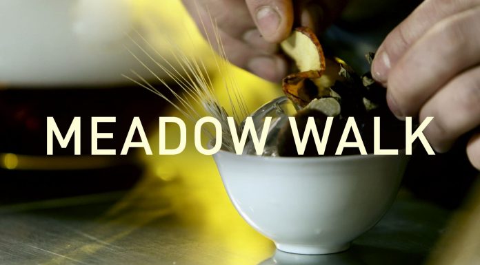 HEARTMIX: Meadow walk