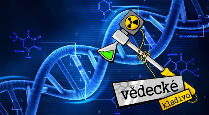 Co je DNA – Vědecké kladivo