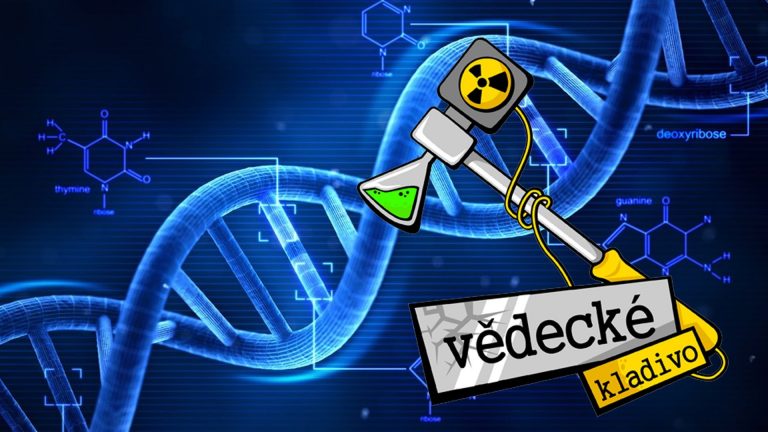 Co je DNA – Vědecké kladivo
