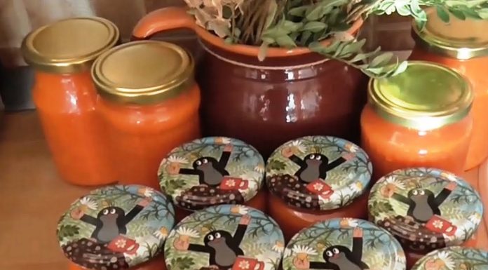 Recept na Pikant