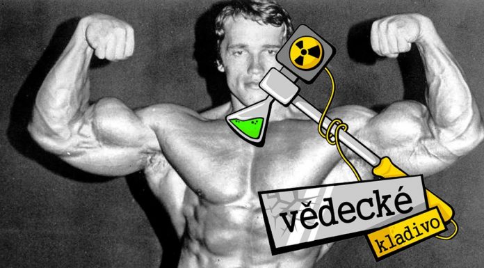 Ako fungujú anabolické steroidy?