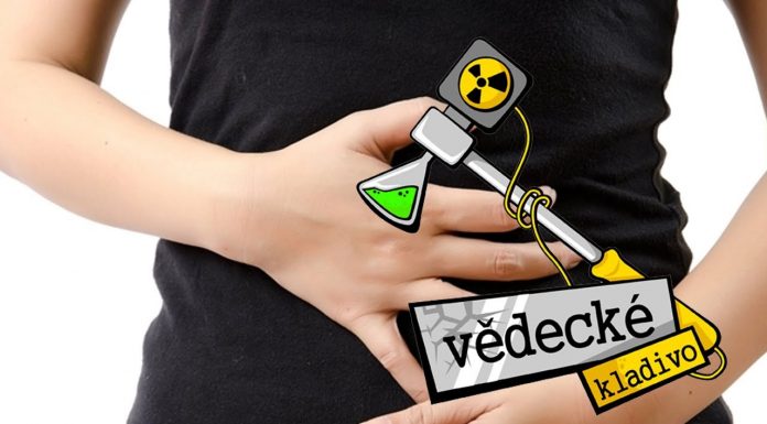 Prečo škvŕka v žalúdku?