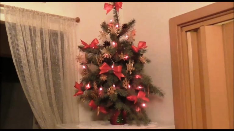 Živý vianočný stromček, ktorý nemusíte píliť