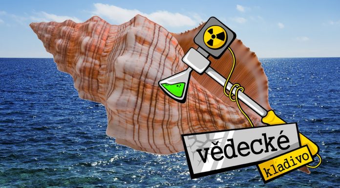 Ako to, že v mušliach je počuť „more“?