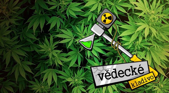 Ako funguje THC