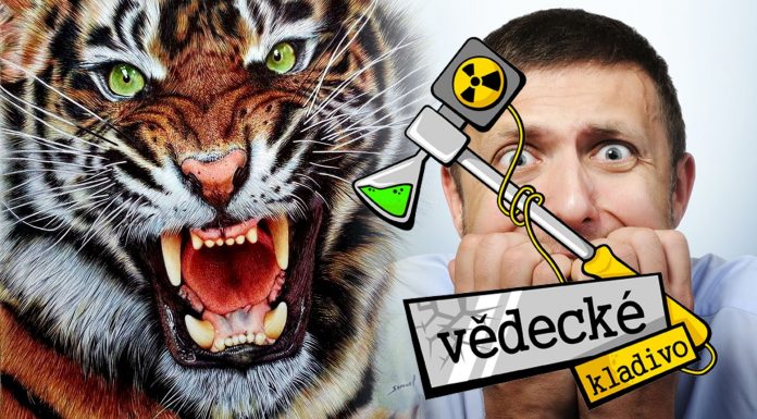 Ako funguje Nervozita?