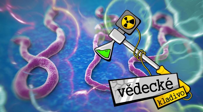 Je pre nás Ebola hrozbou?