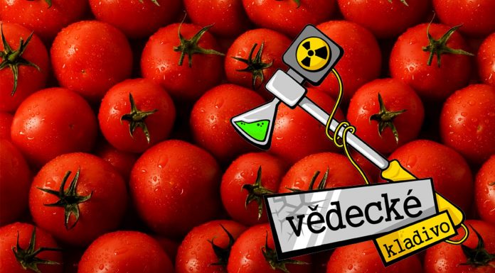 Prečo je rajčina ovocie?