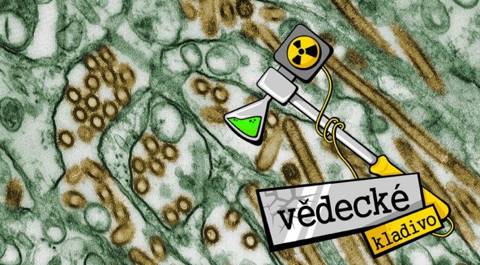 Ako moc nás ohrozuje vtáčia chrípka?