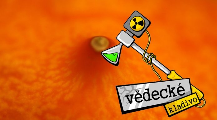 Ako vzniká akné?