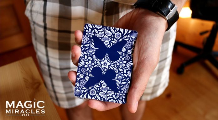 Karty Butterfly // Recenzia