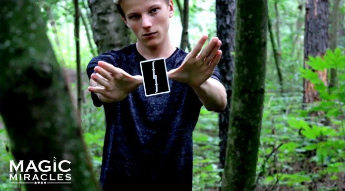Blackout Woods // Magic x Cardistry