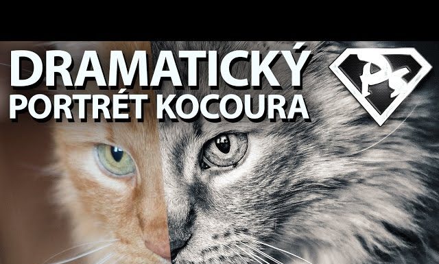 DRAMATICKÝ PORTRÉT ZVÍŘETE vo Photoshope