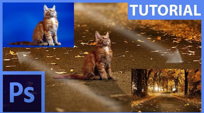 Základy fotomanipulace – maskování a retuše – Photoshop CZ tutorial