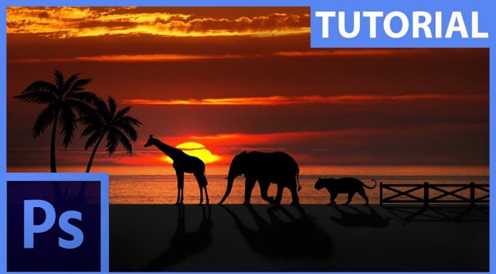 Jak vytvořit zajímavé fotografie pomocí obrysů – Photoshop CZ tutorial