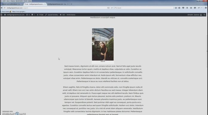 Ako pridávať a používať stránky – WordPress Návody 07