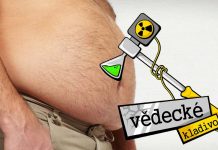 Ako v tele prebieha pálenie tukov?