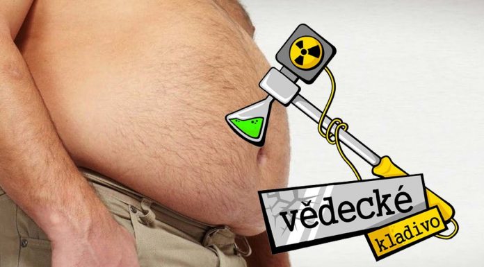 Ako v tele prebieha pálenie tukov?