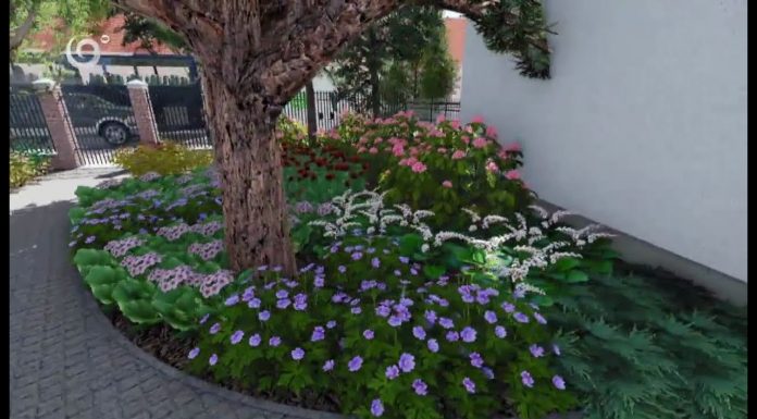 Letná čitáreň (NOVÁ ZÁHRADA)