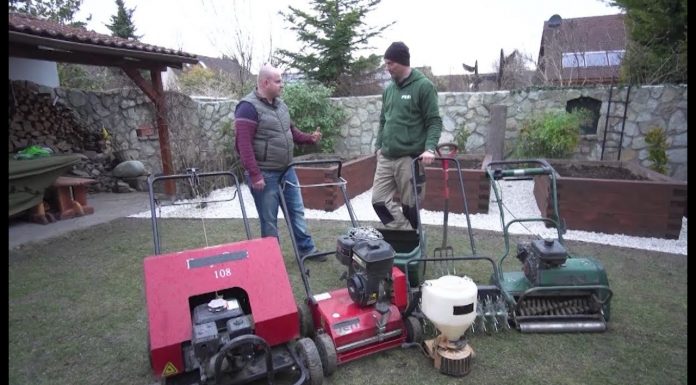 Starostlivosť o trávnik po zime (NOVÁ ZÁHRADA)