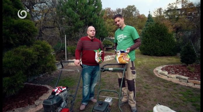 Zazimovanie trávnika (NOVÁ ZÁHRADA)
