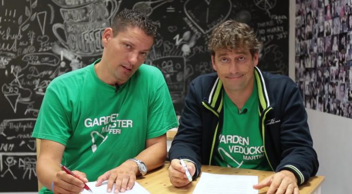 Pivonky sú krásne kvety, patria k tým odolnejším (NOVÁ ZÁHRADA)