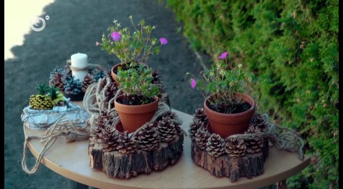 Originálne nápady do záhrady (NOVÁ ZÁHRADA)