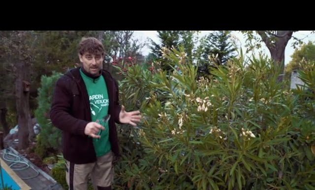 Aj na jeseň nájdete v záhrade krásne kvety (NOVÁ ZÁHRADA)