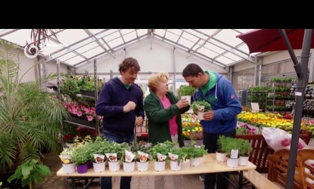 Viete, že si doma môžete dopestovať kolu? (NOVÁ ZÁHRADA)