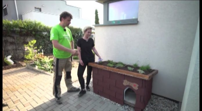 Netradičná búda pre psa (NOVÁ ZÁHRADA)