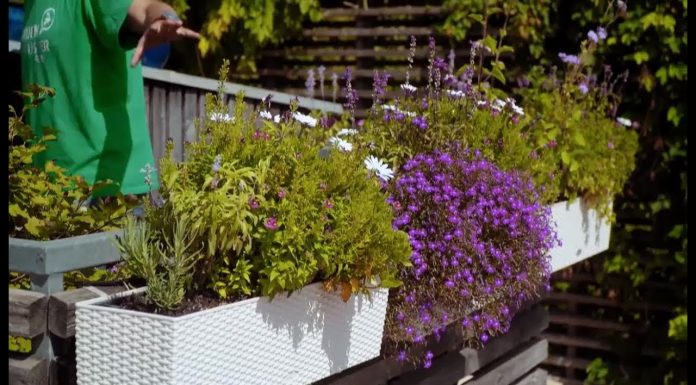 Inšpirácie na balkóny (NOVÁ ZÁHRADA)