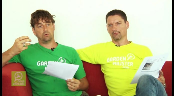 Pestovanie paradajok (NOVÁ ZÁHRADA)