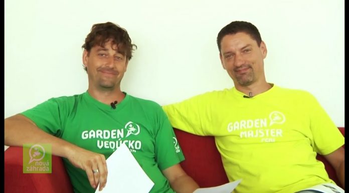 Trápenie s cédrom (NOVÁ ZÁHRADA)