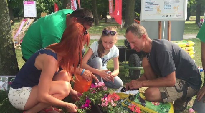 Dunaj ožil pestrofarebnými kvietkami (NOVÁ ZÁHRADA)