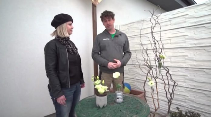 Vyrobte si strom podľa vlastných predstáv (NOVÁ ZÁHRADA)