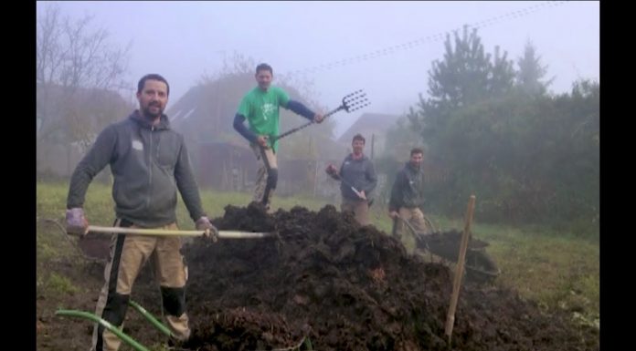 Tipy pri vysádzaní úžitkových priesad (NOVÁ ZÁHRADA)